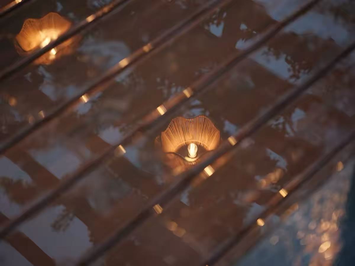 LuminaGarden™ Enchanting Solar Petal Pendant Lights